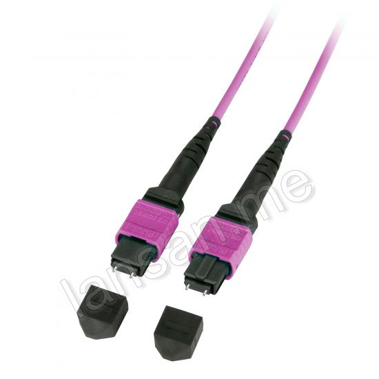 MTP-MPO Patchcord (M-M) 24F OM4 5 Meter