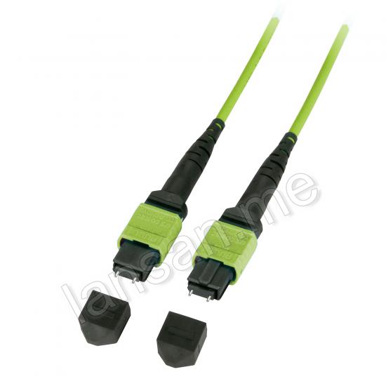 MTP-MPO Patchcord (M-M) 24F OM5 1 Meter