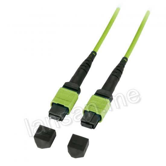 MTP-MPO Patchcord (F-M) 12F OM5 1 Meter